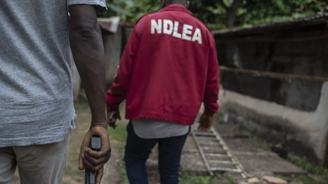 NDLEA Operatives